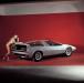 Porsche Tapiro photo 3