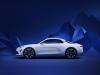 Alpine Vision Concept photo 5