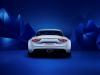 Alpine Vision Concept photo 6