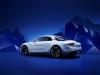 Alpine Vision Concept photo 7