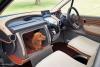 Honda WOW photo 8