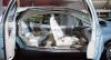 Citroen Xanae photo 7