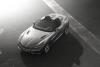 BMW Zagato Roadster photo 20